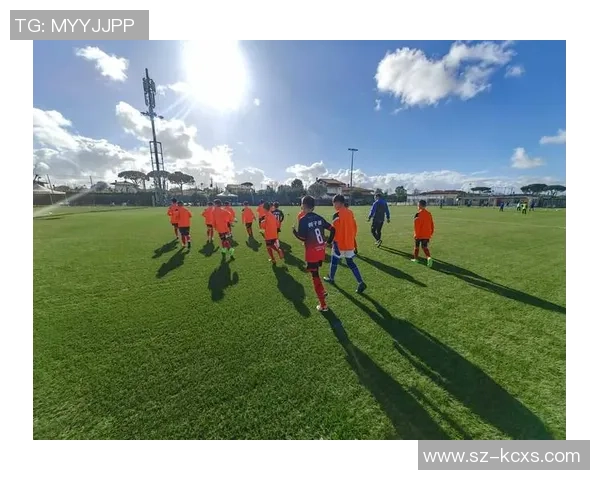 张丽独家揭秘：从球场到生活的足球智慧与心得分享