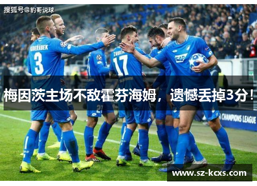 梅因茨主场不敌霍芬海姆，遗憾丢掉3分！
