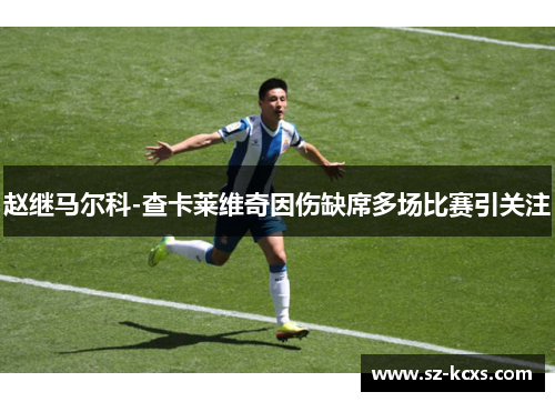 赵继马尔科-查卡莱维奇因伤缺席多场比赛引关注